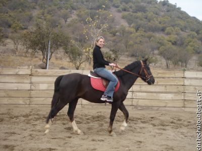 en pein cours d'équitation